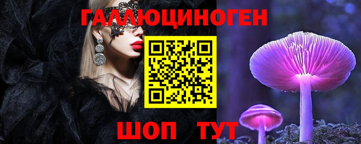 Петропавловск-Камчатский  Псилоцибиновые грибы ЛСД  Вход с VPN 